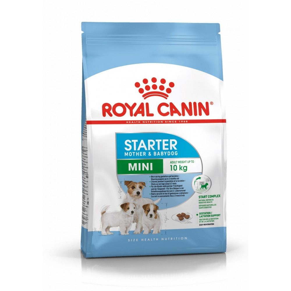 Royal Canin Mini Starter Chienne & Chiots 3Kg