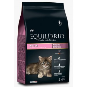 EQUILIBRIO - Kitten